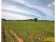14 Zimmler Lane, Gulgong NSW 2852