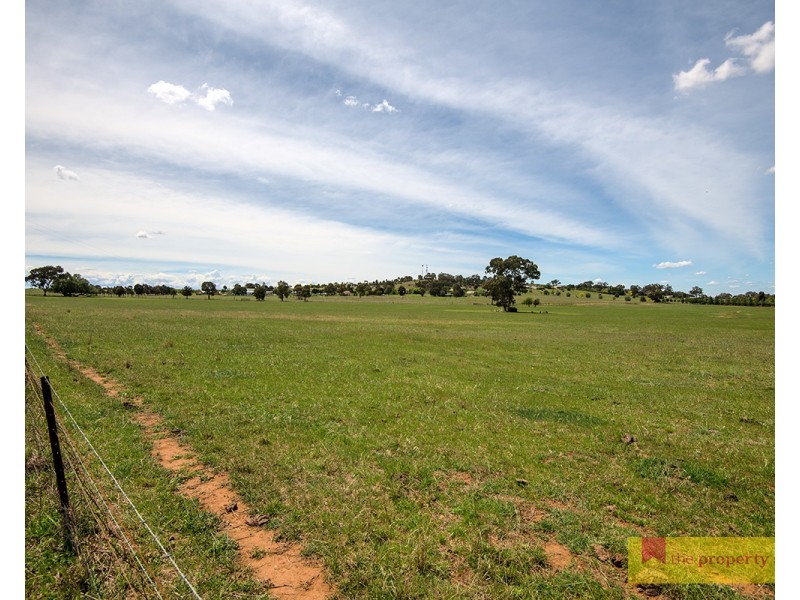 14 Zimmler Lane, Gulgong NSW 2852