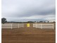 14 Zimmler Lane, Gulgong NSW 2852
