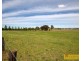 42 Zimmler Lane, Gulgong NSW 2852