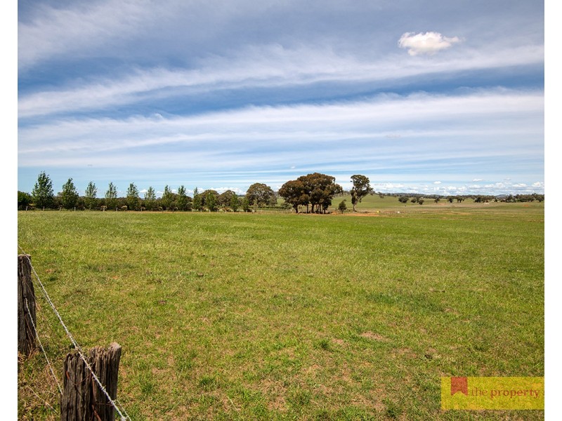 42 Zimmler Lane, Gulgong NSW 2852