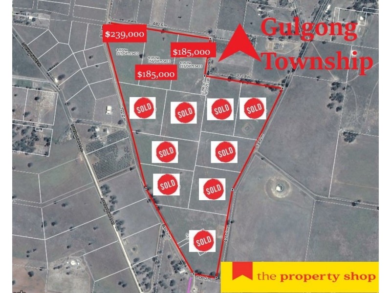 42 Zimmler Lane, Gulgong NSW 2852