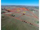 42 Zimmler Lane, Gulgong NSW 2852