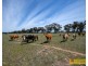 82 Nugget Lane, Gulgong NSW 2852