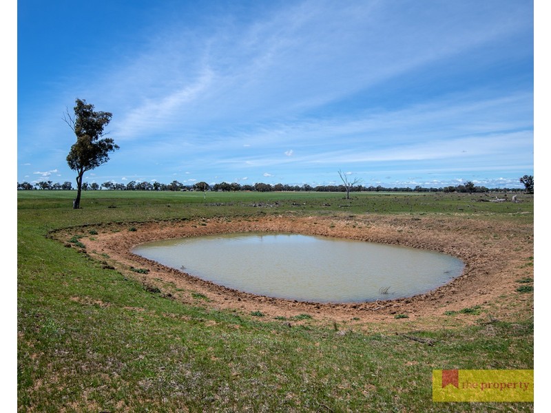 82 Nugget Lane, Gulgong NSW 2852