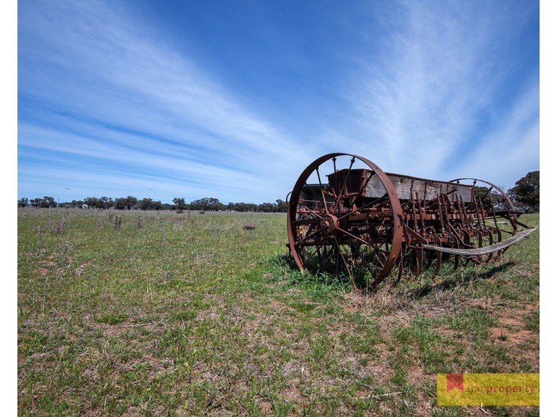 82 Nugget Lane, Gulgong NSW 2852