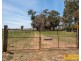 82 Nugget Lane, Gulgong NSW 2852