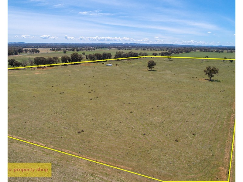82 Nugget Lane, Gulgong NSW 2852