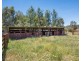 568 Yarrawonga Road, Mudgee NSW 2850