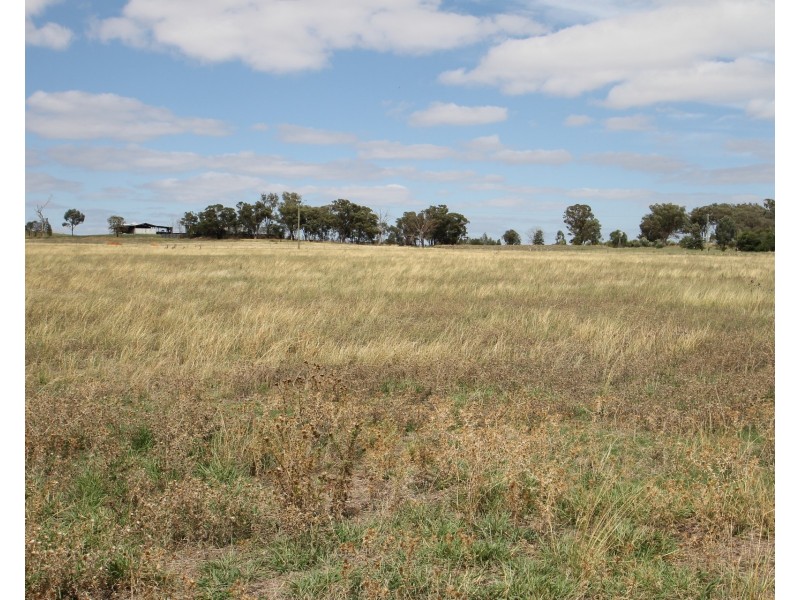 136 Bergalin Road, Gulgong NSW 2852