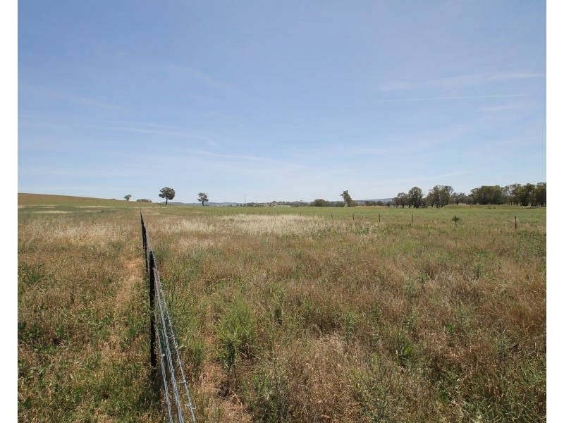 136 Bergalin Road, Gulgong NSW 2852