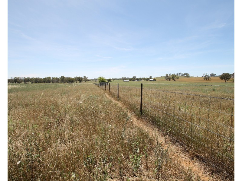 136 Bergalin Road, Gulgong NSW 2852