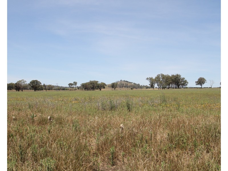 136 Bergalin Road, Gulgong NSW 2852