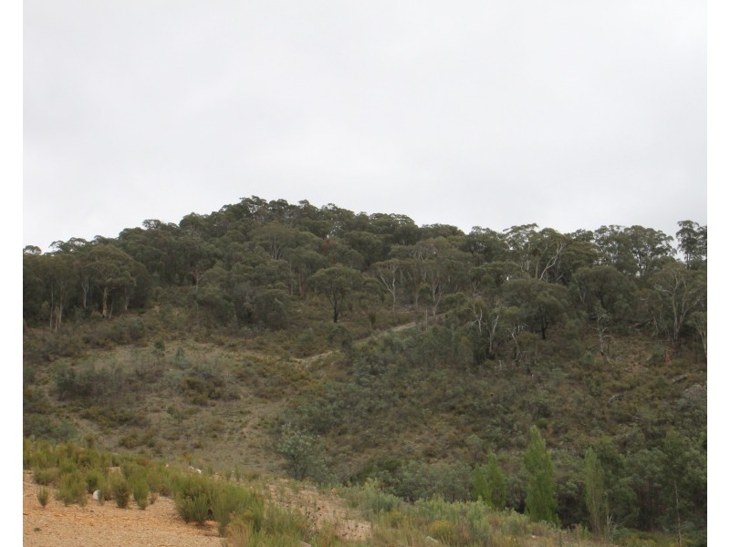 650 Green Gully Road, Mudgee NSW 2850