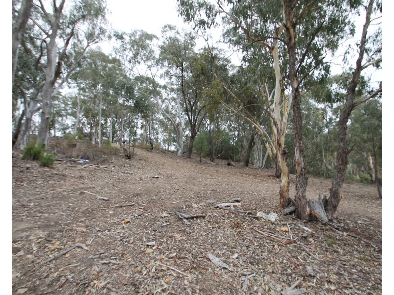 650 Green Gully Road, Mudgee NSW 2850