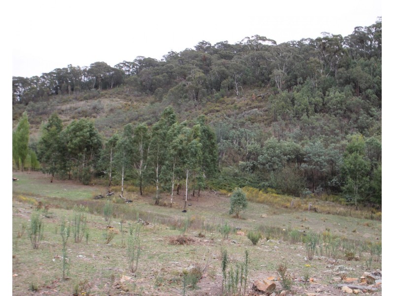 650 Green Gully Road, Mudgee NSW 2850