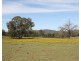 4066 Bylong Valley Way, Rylstone NSW 2849