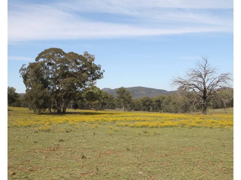 4066 Bylong Valley Way, Rylstone NSW 2849