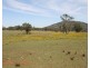 4066 Bylong Valley Way, Rylstone NSW 2849