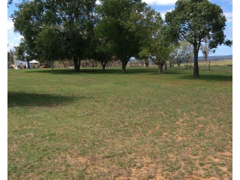 Mudgee NSW 2850