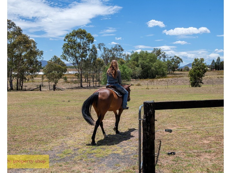 57 Rifle Range Road, Mudgee NSW 2850