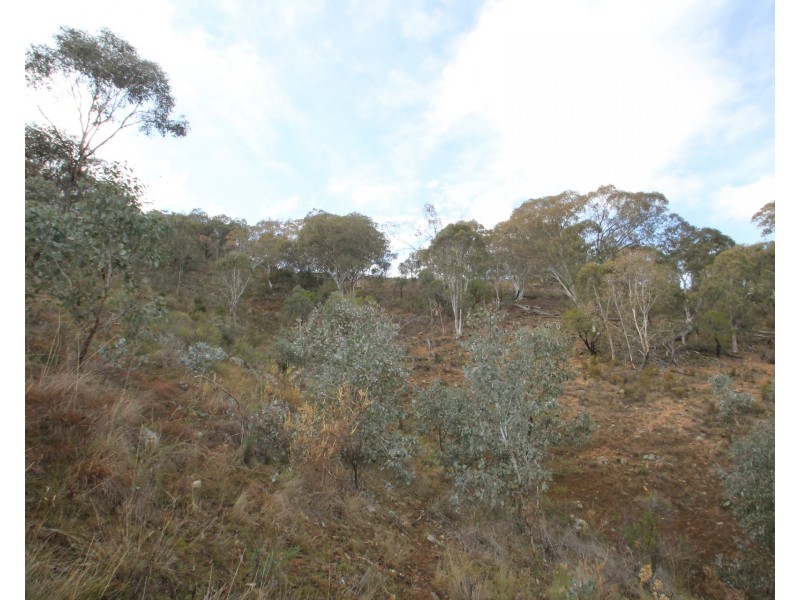 2047 Hill End Road, Mudgee NSW 2850