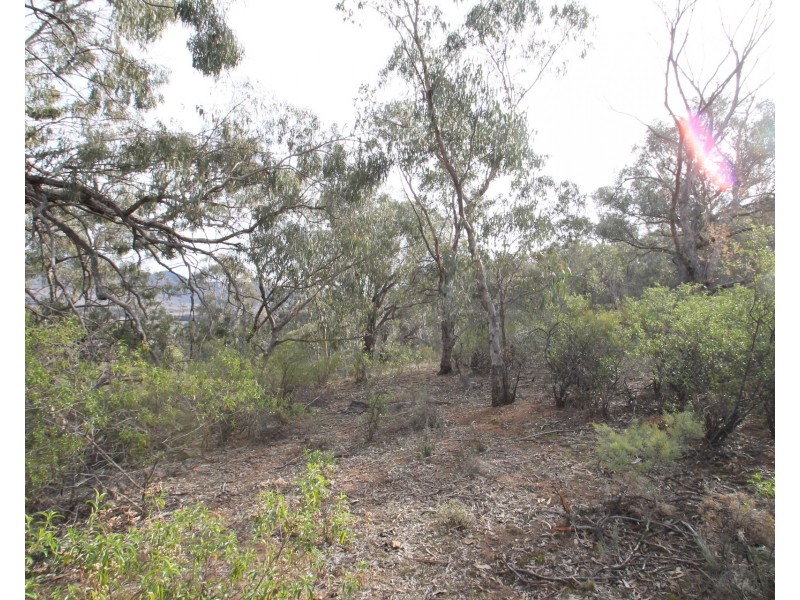 2047 Hill End Road, Mudgee NSW 2850