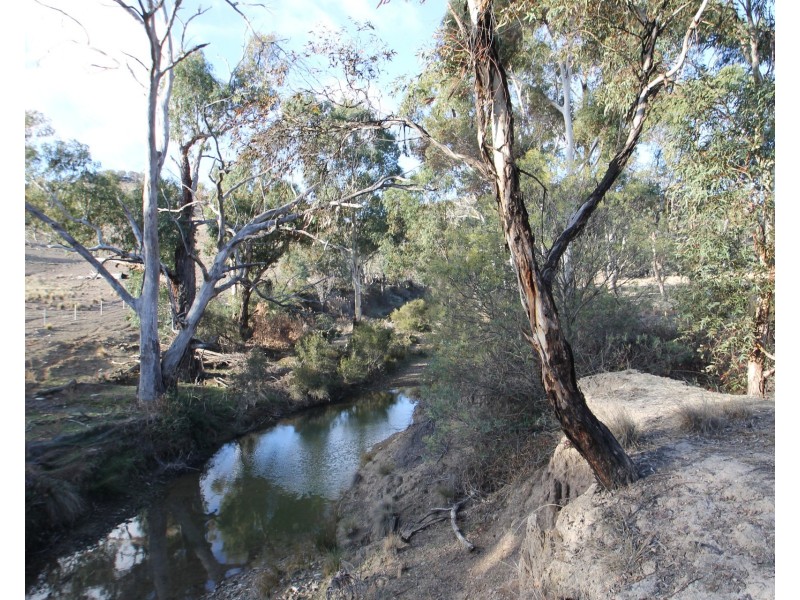 Lot 40, 1191 Campbells Creek Road, Mudgee NSW 2850
