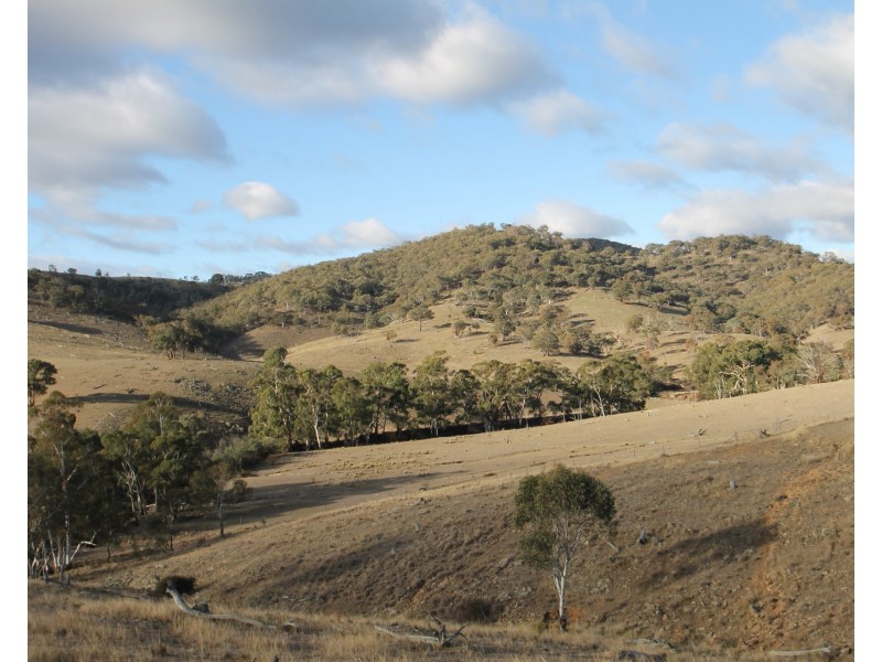 Lot 40, 1191 Campbells Creek Road, Mudgee NSW 2850