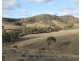 Lot 40, 1191 Campbells Creek Road, Mudgee NSW 2850