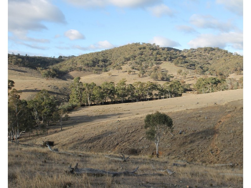 Lot 40, 1191 Campbells Creek Road, Mudgee NSW 2850