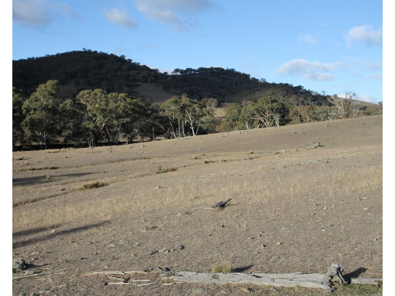 Lot 40, 1191 Campbells Creek Road, Mudgee NSW 2850