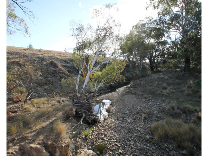 Lot 40, 1191 Campbells Creek Road, Mudgee NSW 2850
