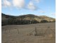 Lot 40, 1191 Campbells Creek Road, Mudgee NSW 2850