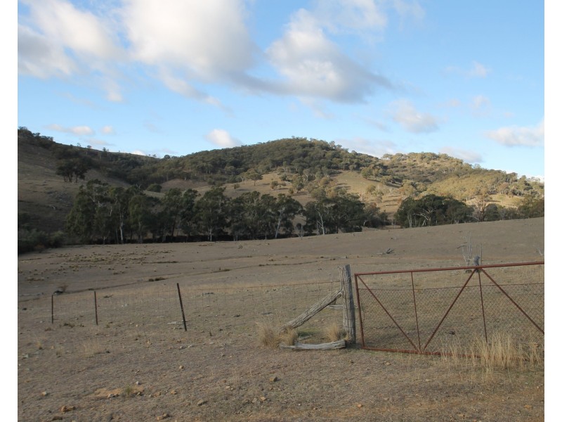 Lot 40, 1191 Campbells Creek Road, Mudgee NSW 2850