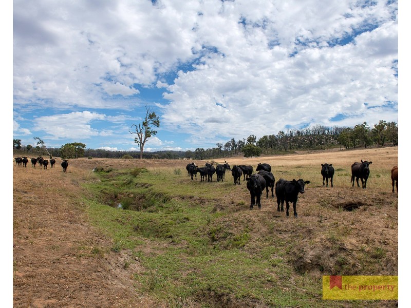 308 Turill Bus Route, Mudgee NSW 2850