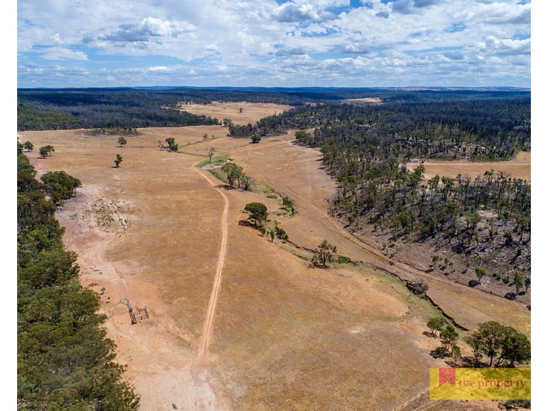 308 Turill Bus Route, Mudgee NSW 2850