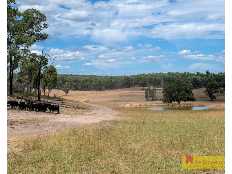 308 Turill Bus Route, Mudgee NSW 2850