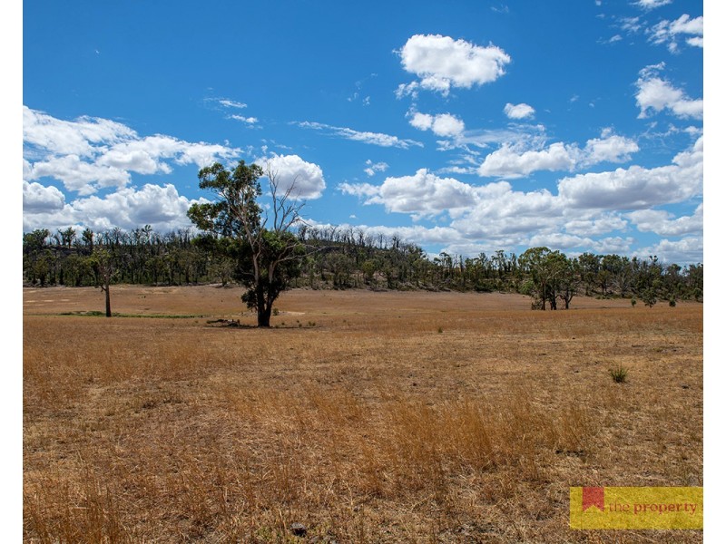308 Turill Bus Route, Mudgee NSW 2850