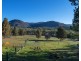 1556 Yarrabin Road, Mudgee NSW 2850