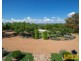 14 Robert Hoddle Grove, Mudgee NSW 2850