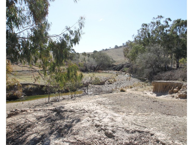 Lot 31, 1191 Campbells Creek Road, Mudgee NSW 2850