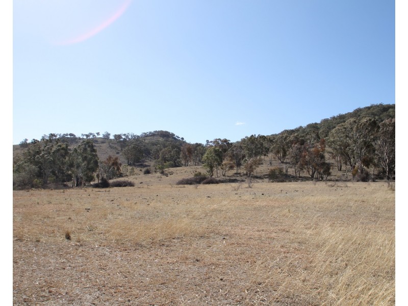 Lot 31, 1191 Campbells Creek Road, Mudgee NSW 2850