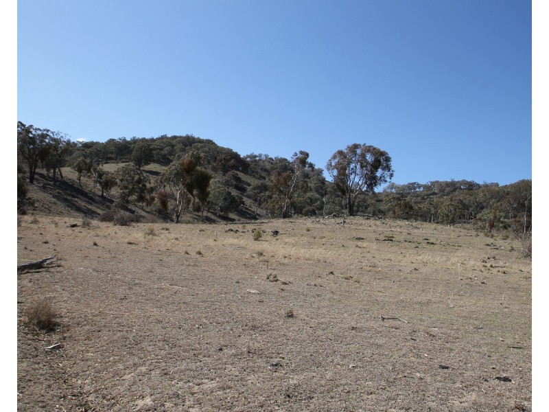 Lot 31, 1191 Campbells Creek Road, Mudgee NSW 2850
