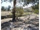 Lot 31, 1191 Campbells Creek Road, Mudgee NSW 2850