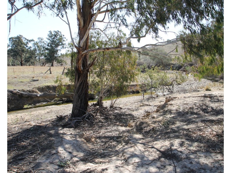 Lot 31, 1191 Campbells Creek Road, Mudgee NSW 2850