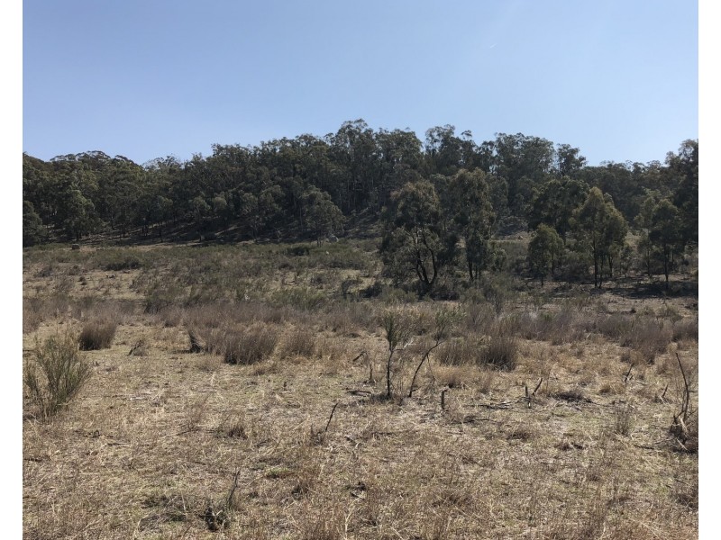 1019 Durridgerie Road, Mudgee NSW 2850