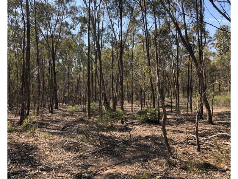 1019 Durridgerie Road, Mudgee NSW 2850