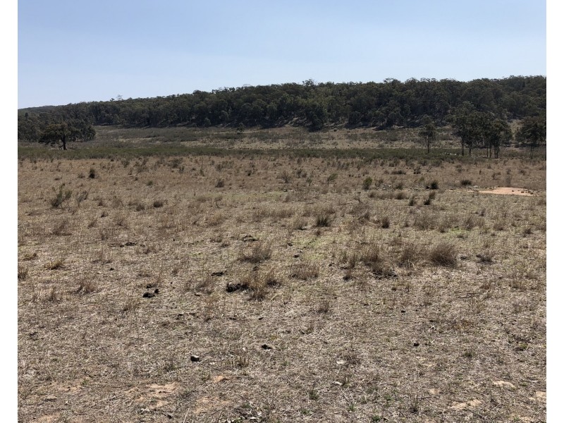 1019 Durridgerie Road, Mudgee NSW 2850