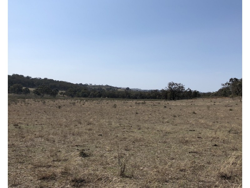 1019 Durridgerie Road, Mudgee NSW 2850